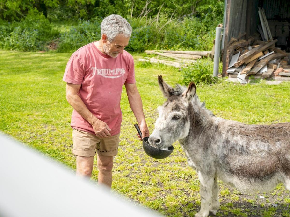 Pass The Keys The Lodge At Point House Farm - Sleeps Up To 6 체스터 외부 사진