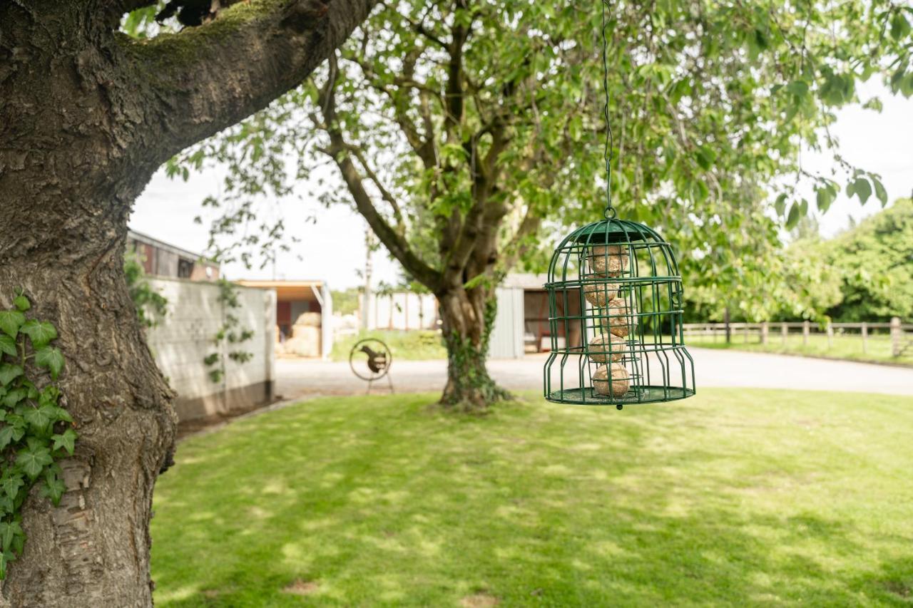 Pass The Keys The Lodge At Point House Farm - Sleeps Up To 6 체스터 외부 사진